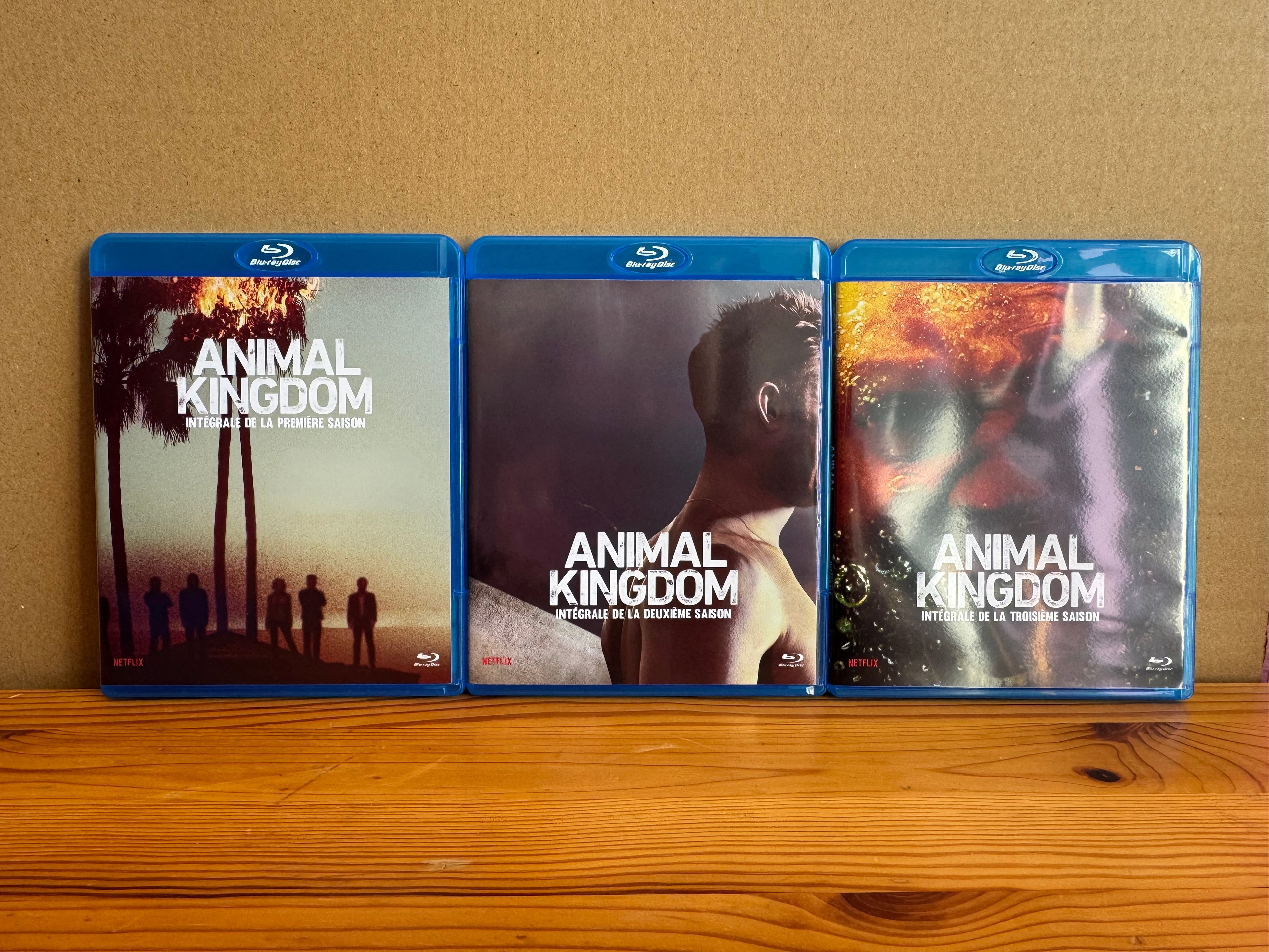 Animal Kingdom - Intégrale (S1 à 6) - Blu Ray