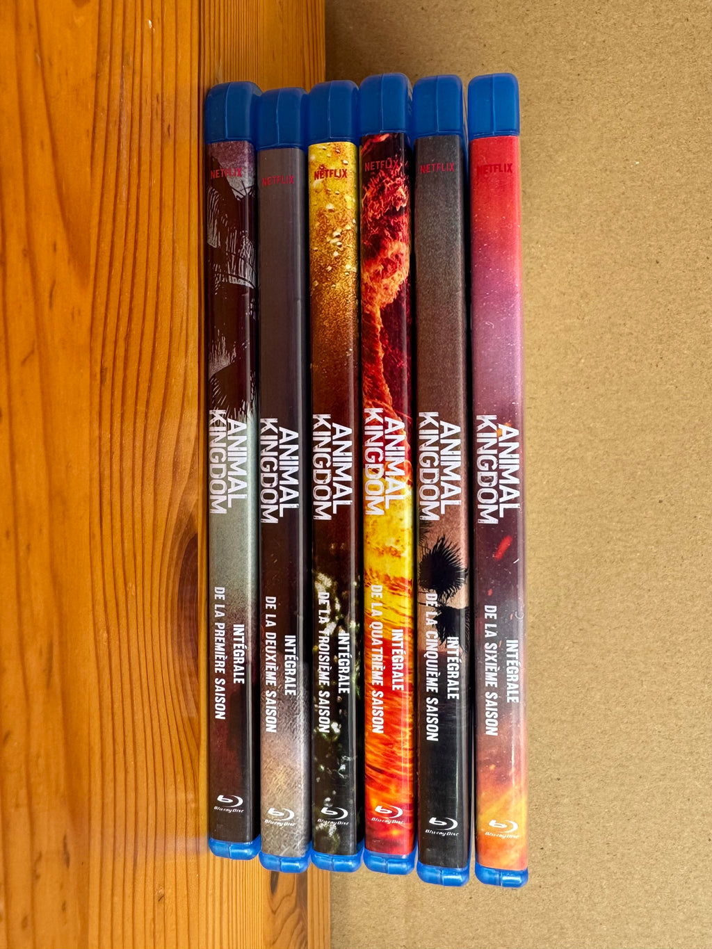 Animal Kingdom - Intégrale (S1 à 6) - Blu Ray